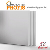 Kalziumsilikatplatte 25 Plus (beidseitig grundiert)